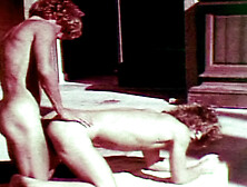 Vintagegayloops Video: Poolside Erotic