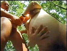 Milf pregnant 4 collection 23of46