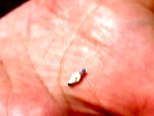 From gentle giantess to monster: Lina the 99, 999-foot giantess