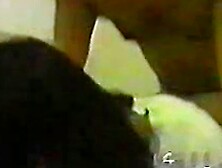 Amateur Fuck Italy 1999