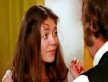 Vintage - Bienenstich im Liebesnest total video