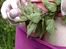 Slow Motion Nettles