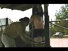 (Oldies But Goodies) PonyGirl Education OtO