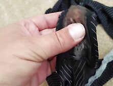 Wifes used dirty panties