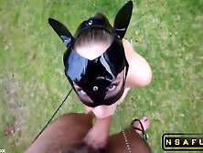 Scarlet Chase In Leashed Pussy Cat By Butt Plug