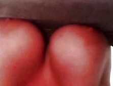 Les seins d'une chienne