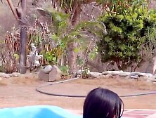 Summer LovinEquals Sexin