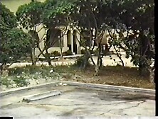 THE LITTLE FRENCH MAID (1981)