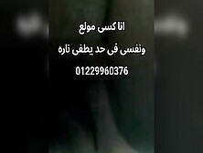 رشا شرموطة اسكندرانية فاجرة ورقم سامى الى مشغلها 01229960376