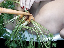 Skye Alyssa Bailey goes wild with carrots in her pussy