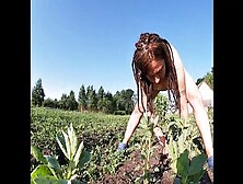 Farmer's Wife Masturbates In The Field