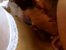 Ally et xperiment (2002)