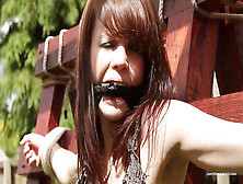 Outdoor Bondage New,  Bondage New,  Outdoor Bdsm