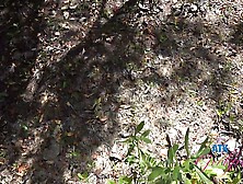 Watch superb Riley Rose's movie