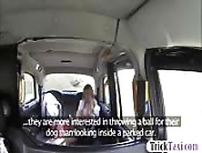 Busty Amateur Passenger Railed By Nasty Driver