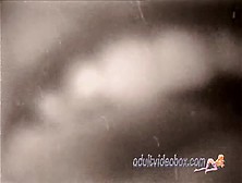 Vintage-Porn-Loop (19). Mp4