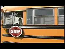 School Bus Girls (18+)