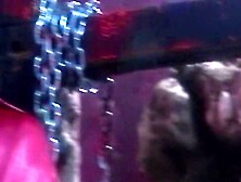 Ho Chi Minh Hos – Exotic Town Nights