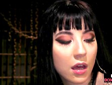 Pussylicked Bdsm Domina In Latex Facesitting Her Private Sub