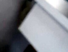 Le Plaisir Du Matin.