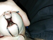 Jap's eye fly. ud83dudca5ud83cudf46ud83dudca6ud83dudca6ud83dudca6