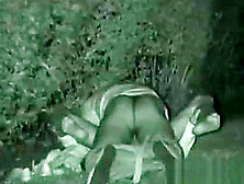 Clip #223   Voyeurismo Public Sex 2