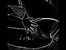 Ooey Gooey Fortune Cookie (korean Pussy Morning Quickie)