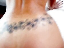 Step Up for a Wild Ride