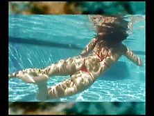 Little Mutt Video: Linnea and Sharon