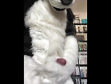 Eclipse Husky Jerk Off And Cumshot