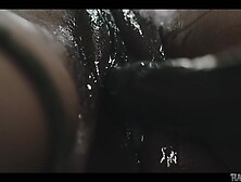 Plants vs Cunts -Barbie Rous