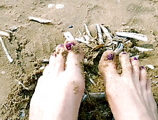 Sand And Shells Under My Feet