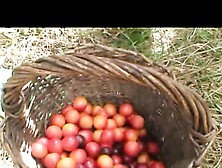 Giovani troie godono con i genitori - Episode 4