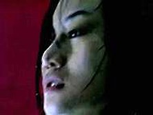 April Tung In Koma (2004)