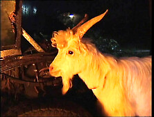 Naked Woman On Fire Vol. 4 Full Movie - Claudia Jamsson,  Karli Sweet,  Backey Jakic Anal,  Big Tits,  Blowjob,  HD Vintage