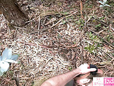 Forest Chick Bound and Humiliating Rough Fuck With Stranger in Woods