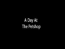 A Day At The Petshop