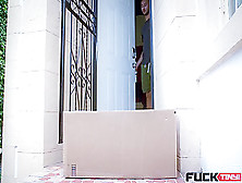 Briar Rose in Unpacking A Petite