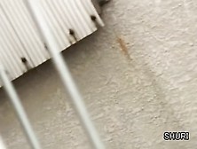 Cute caught the attention of sharking shuri guys