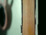 Housewife Maya Woulfe offers her pussy and the stud enjoys fucking her