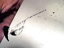 Stratiomys longicornis 2025 (first attempt)