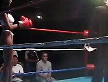 American cocksucking championship 8 scene 1