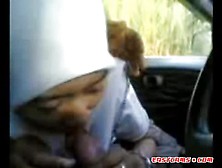 Petite Malay Girl Giving Bj In A Car