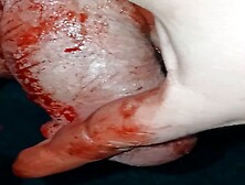 Slash & Stab Session,  pt.  4