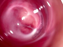 Irresistible Cute Pussy at amateur dirt