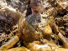 Disturbed on the dunghill - cowshit couple pov