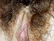 Adina Hairy Pussy