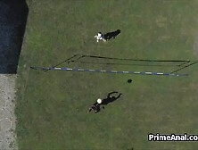 Big black cock anal with volleyball hottie