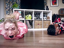 Licking,  Hogtie And Harness Gag