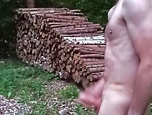 Real amateur public forest nude male masturbation
